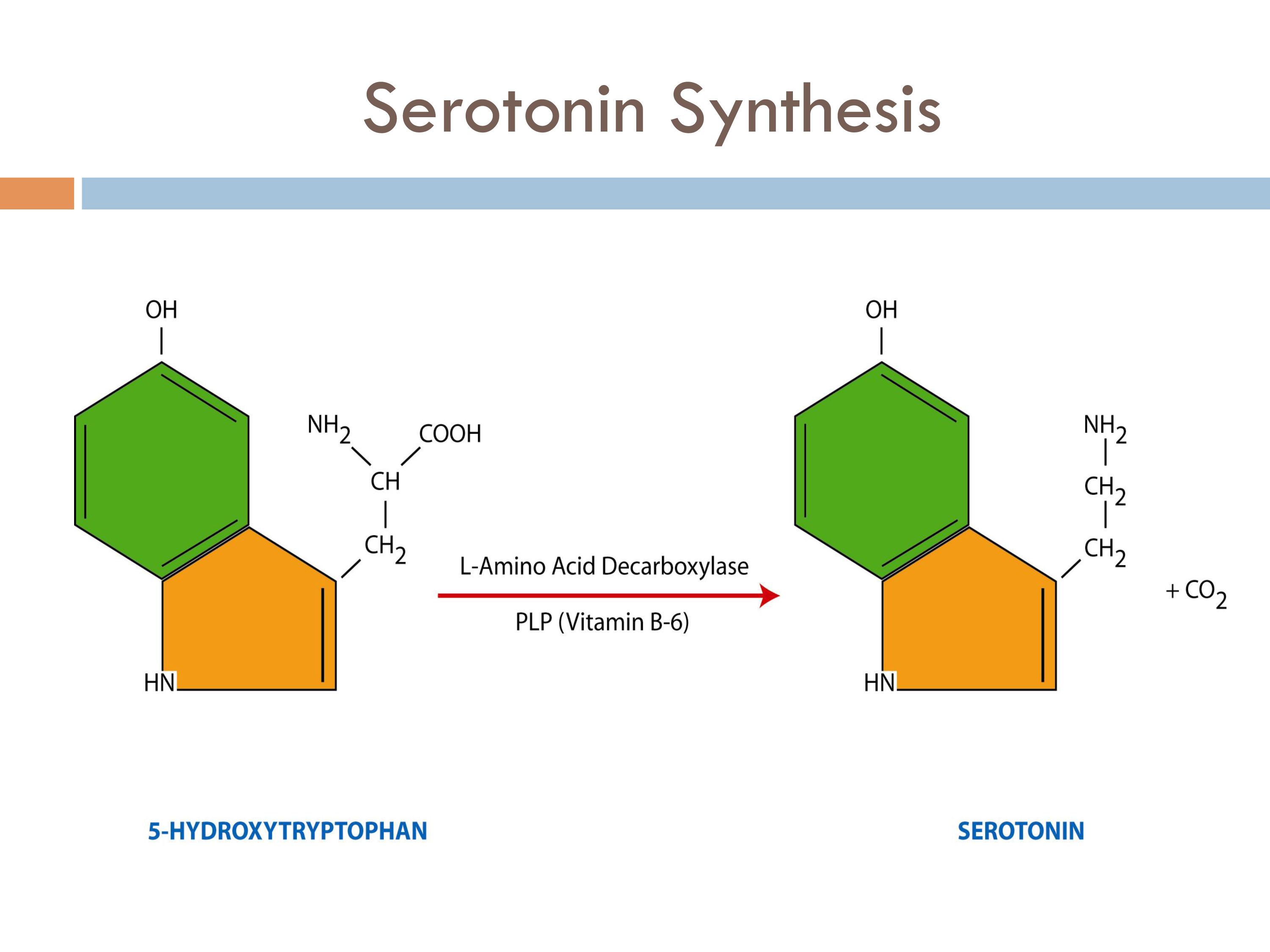 drug-free_nutrient_therapy_to_heal_brain_imbalances-14
