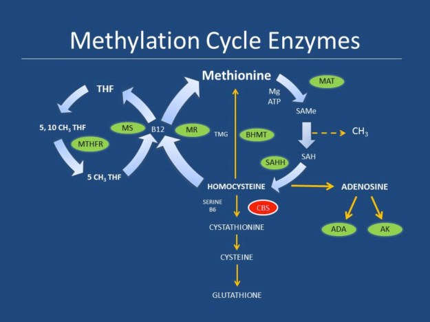 cam_london_keynote_dr_walsh_11_07_15_final-32 copy