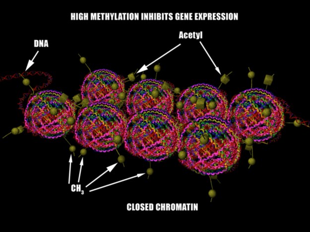 drug-free_nutrient_therapy_to_heal_brain_imbalances-32