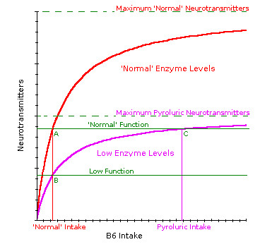 Metabolic function comparison with supplementation for normal and low enzyme levels.